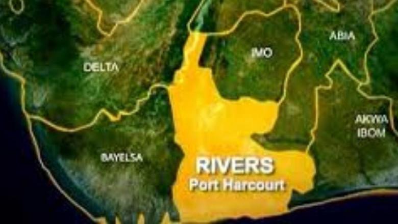Gunmen killed 21 cows in Rivers – Miyetti Allah