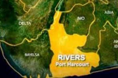 Gunmen killed 21 cows in Rivers – Miyetti Allah